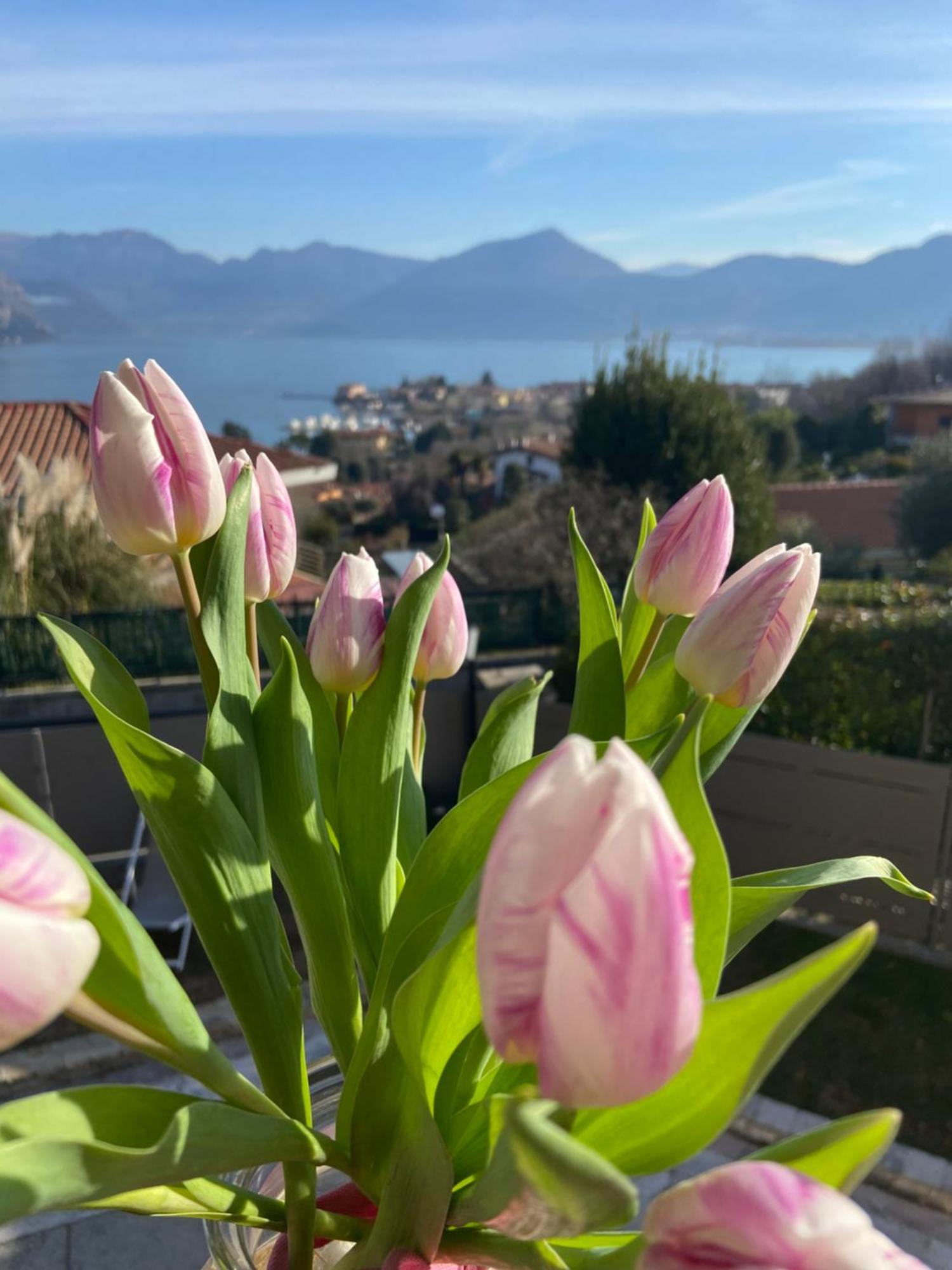 B&B Panorama Iseo Exterior photo